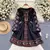 Mini Vestido Bordado Estilo Boho