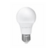 LAMPADA LED ECO 15W
