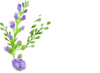 Cleo Naturals