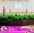 Decoración “Kinder” Primavera en internet