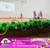 Decoración “Kinder” Primavera - tienda en línea