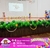 Decoración “Kinder” Primavera - Mágicos Momentos SLP