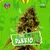 Riqui Seeds "Del barrio"