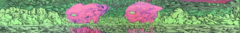 Banner de la categoría Bizer