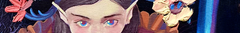 Banner de la categoría Daniel Fontanini