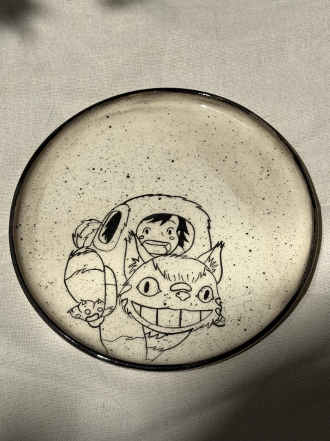Plato gatobus