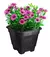VASO QUAD PRETO 12,5L - comprar online