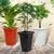 VASO QUADR COLUNA PRETO 13 LTS 26X38X26 CMS na internet