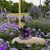 DIFUSOR 270ML LAVANDA FRANCESA na internet
