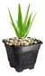 VASO QUAD PRETO 12,5L na internet