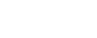 VITALY PROJECT 