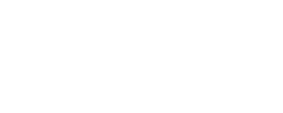 VITALY PROJECT 