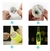 Base Led (para vaso/botella) x(1)