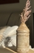 FLORERO