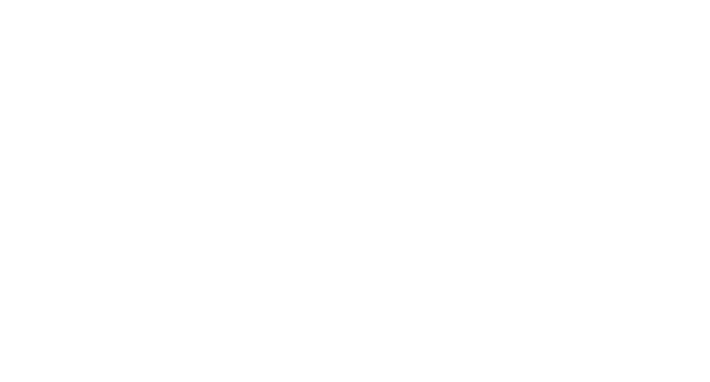 LAURA STORE