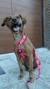 PRETAL STARS PINK - comprar online