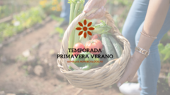 Banner de la categoría Primavera/Verano
