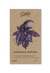 Albahaca Morada