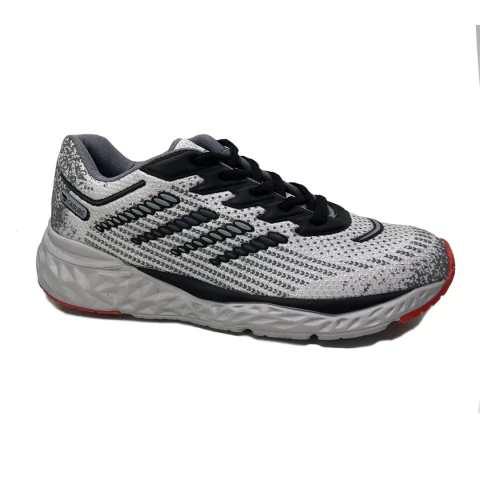 zapatilla 2500 en internet