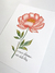 O amor floresce nos detalhes - comprar online