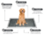PAÑAL DE ENTRENAMIENTO MASCOTA 50 PCS MEDIANO CARBON ACTIVADO - comprar online