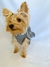 Bandana Xadrez - Garla – Moda Pet