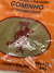 Cominho Condimentado Jomil 500g - comprar online