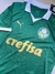 Camisa Palmeiras 2024 Modelo Jogador - loja online