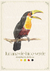 Tucano - comprar online