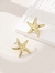 Aros Ocean en internet
