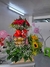 Arreglo floral Jardín premium