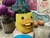 Pato Yema