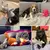 Brinquedo Amigo Fiel - comprar online