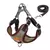 Conjunto Passeio Seguro - loja online