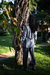 Blazer Anna - loja online