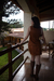 Saia Fábia - GH2Wear