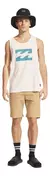 Bermuda Hombre Billabong Carter Stretch