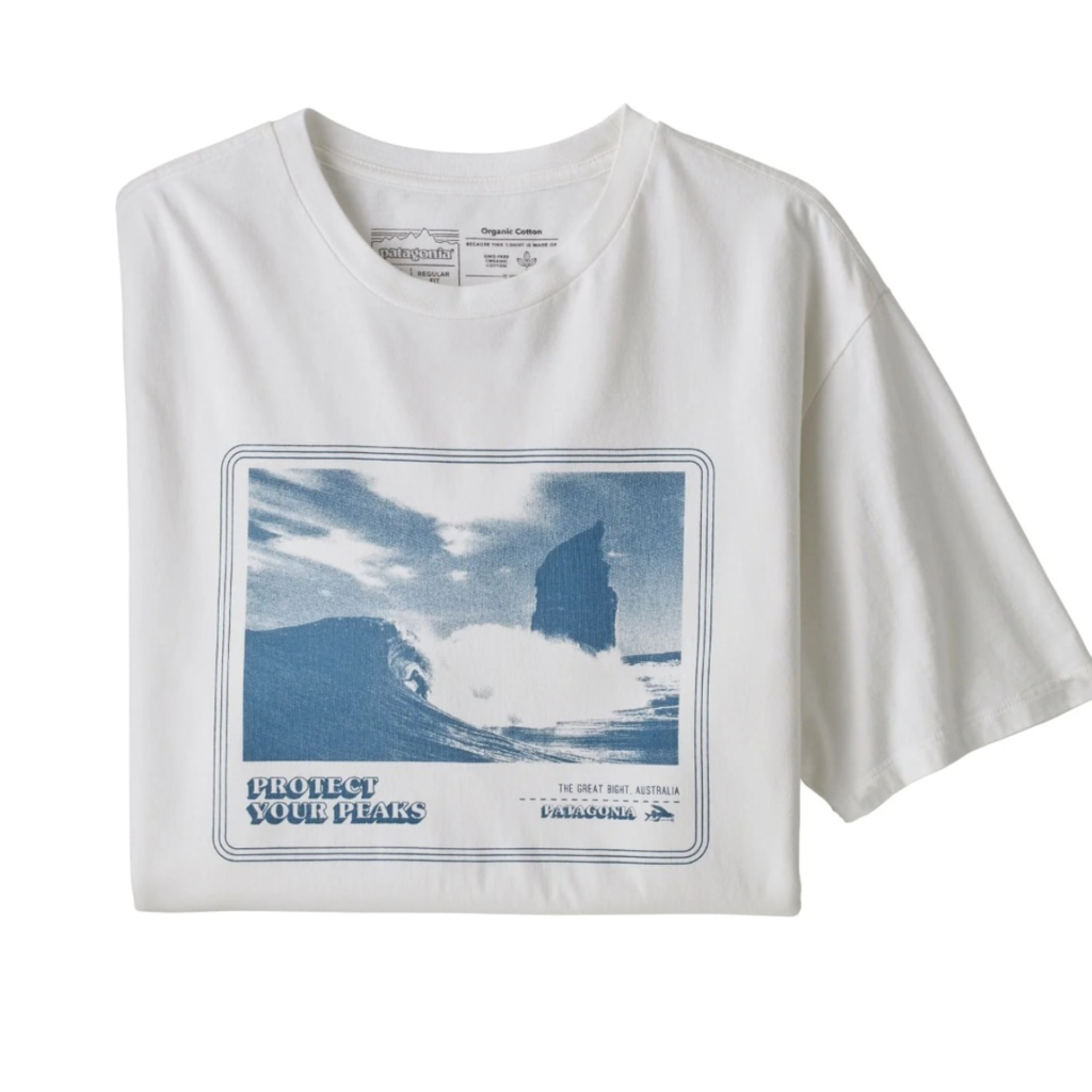 Remera Patagonia Premier Poster Cotton - comprar online