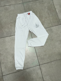 PANTALON JORDAN ESPIRIT en internet