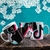 CANECA DE REDE SOCIAIS
