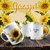 CANECA GIRASSOL