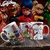 CANECA LADY BUG