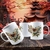 CANECA 3D