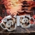 CANECA 3D