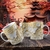 CANECA 3D