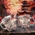 CANECA 3D