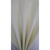 EVA CORES CANDY 40X60 1.5 mm, PACOTE COM 10 FOLHAS ( AMARELO CLARO )