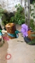 Cachimbo de Jurema Preta Personalizado Beija-Flor - Exclusivo e Artesanal - comprar online