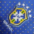Camisa Retrô Seleção Brasileira II 2010 - Masculina - Importti Mantos | Artigos Esportivos