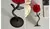 TAÇA ROSE - comprar online